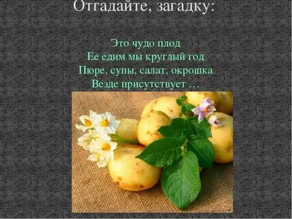 Картофель имя прилагательное подобрать