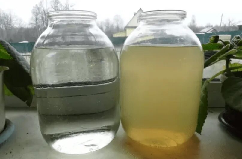 Почему в банке вода. Литровая банка с водой. банка с водой 3 литра. отстаивание воды. отстаивание воды в банке.
