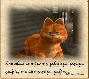 Хотя ф