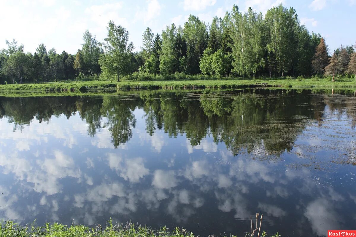 Водоемы костромы