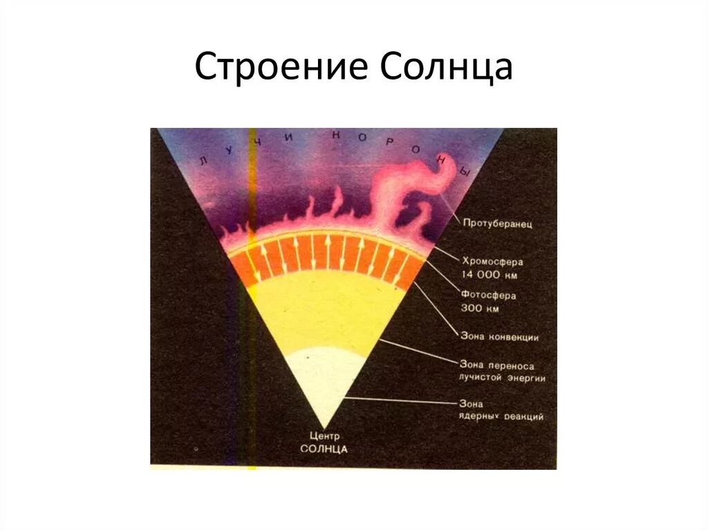 Внутреннее строение солнца схема. Внутреннее строение солнца атмосфера солнца. Строение солнца рис 188. Схема внутренних областей и слоев атмосферы солнца.