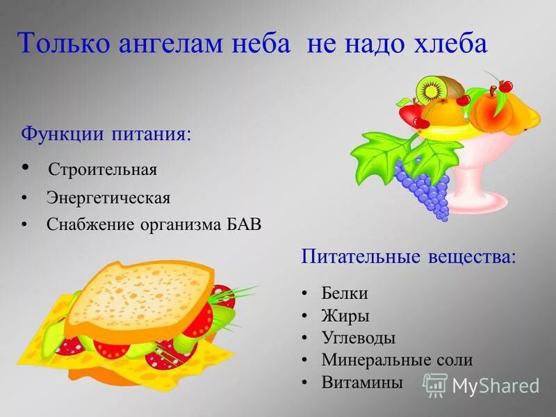 витамины и минеральные соли. есть витамины в соли. сколько белков в хлебе на 100 грамм. молоко является основным источником. есть витамины в соли.