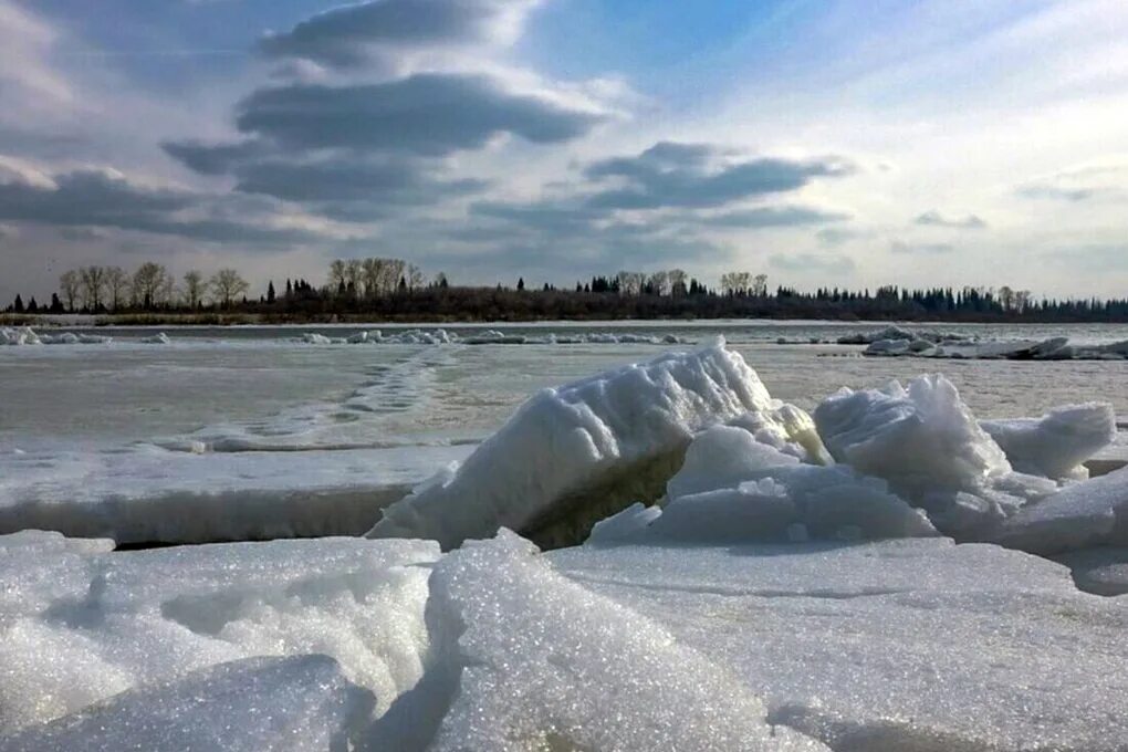 На реках севера на сегодня архангельск