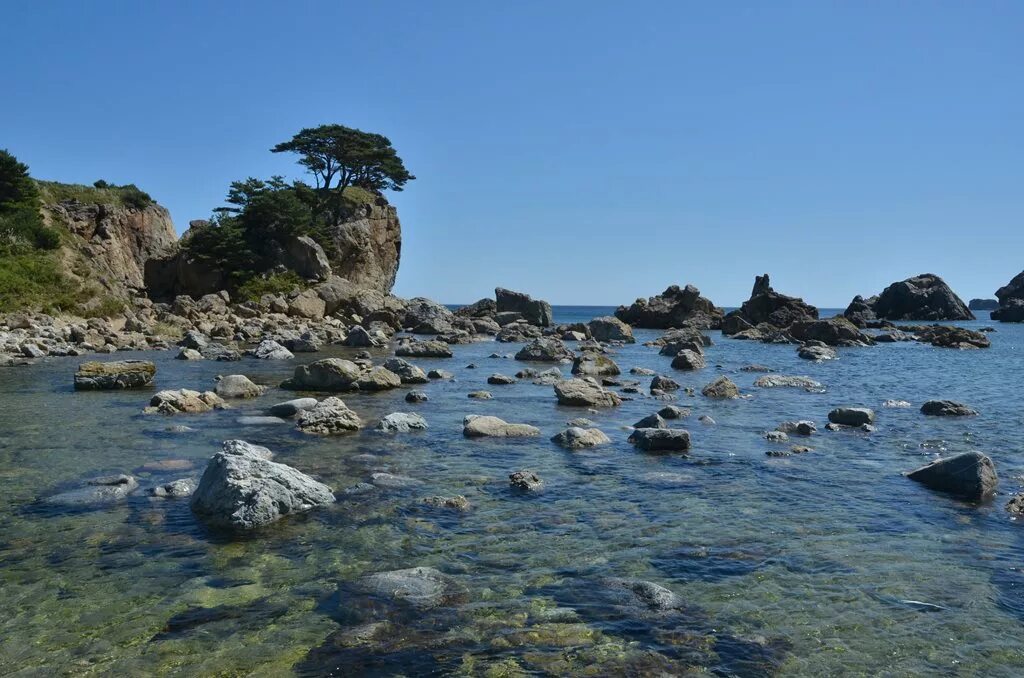 Far Eastern Marine Reserve. Дальневосточный морской заповедник остров Верховского. Far Eastern Marine Reserve фон. Reserva Marina. Far eastern