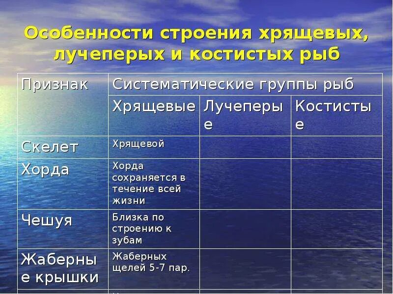 Основные систематические группы рыб класс рыб. Основные систематические группы рыб таблица. Схема систематические группы рыб. Общая характеристика хрящевых.