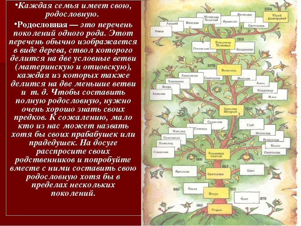 Сколько поколений живет в семье. Проект моя родословная. Проект про родословную. Проект на тему моя родословная. Родословная 2 класс.