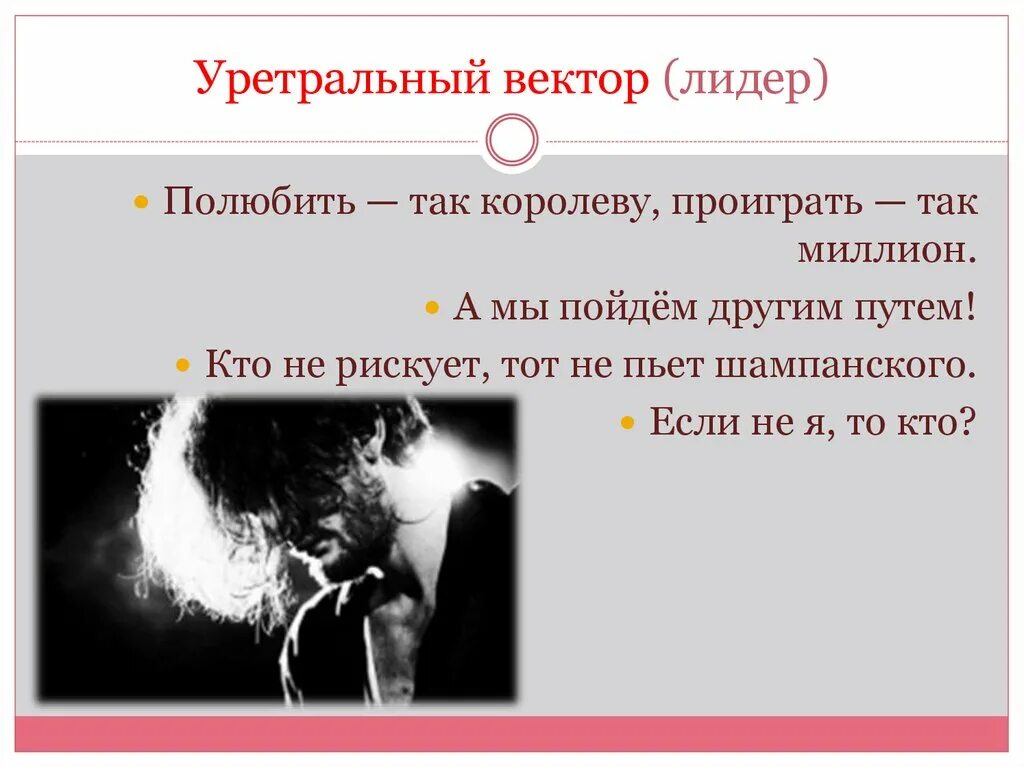 Полюбить так королеву проиграть. Полюбить так королеву проиграть