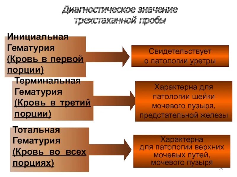 Трехстаканная проба мочи. Тотальная и терминальная гематурия. Терминальная гематурия. Гематурия инициальная терминальная. Гематурия трехстаканная проба.