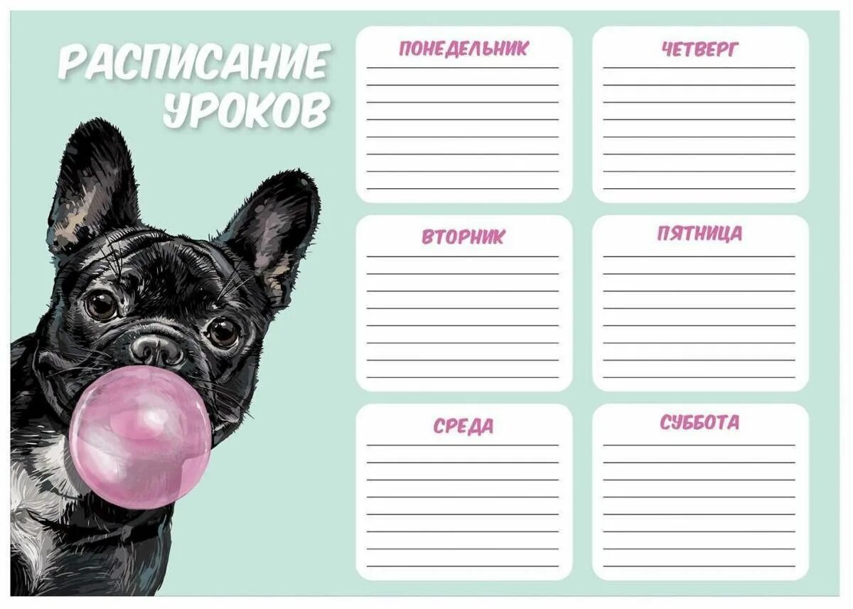 Расписание уроков вариант 2. Расписание уроков. расписание уроков для подростков. расписание уроков для девочек. расписание уроков с собаками.