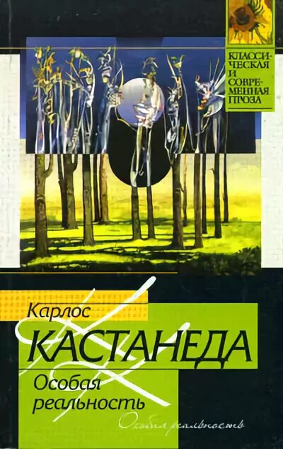 Особая реальность Кастанеда. Карлос Кастанеда отдельная реальность. Особая реальность Карлос. Карлос Кастанеда Дон Хуан.