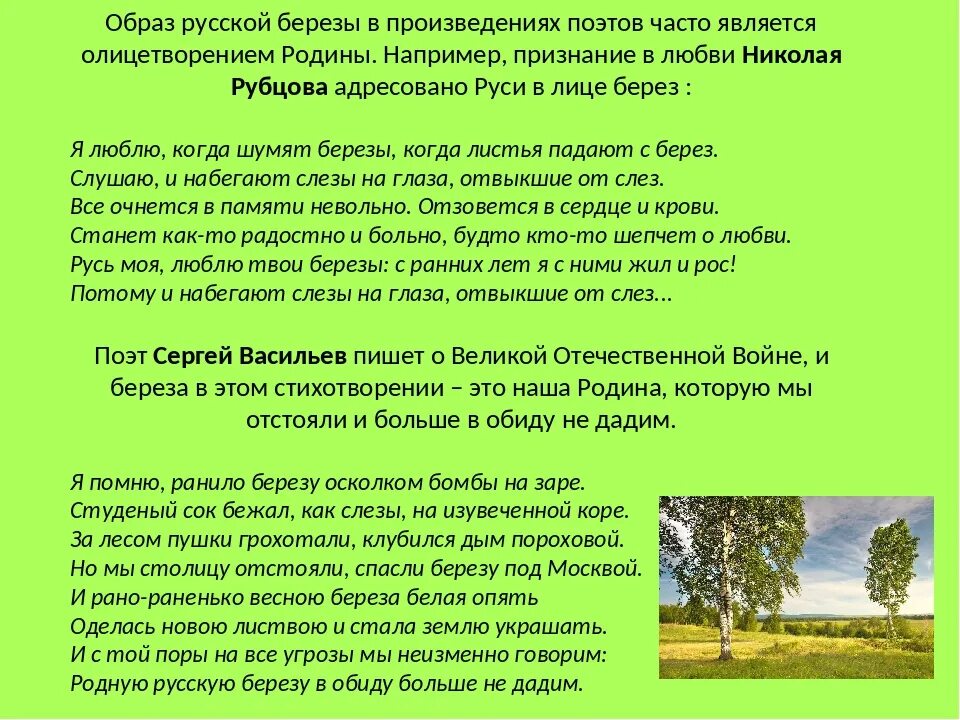 Образ березы в русской литературе. Произведение береза. Образ русской Березки в литературе. Образ берёзы как ключевой образ русской литературы. Анализ стихотворения рубцова березы