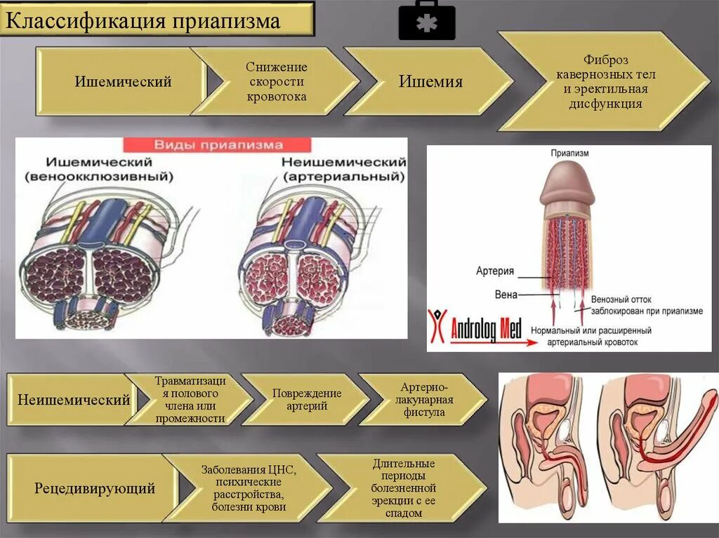 Инфекции наружных половых органов. Травмы наружных половых органов. Заболевания наружных половых органов у женщин. Травма наружных половых органов у женщин.