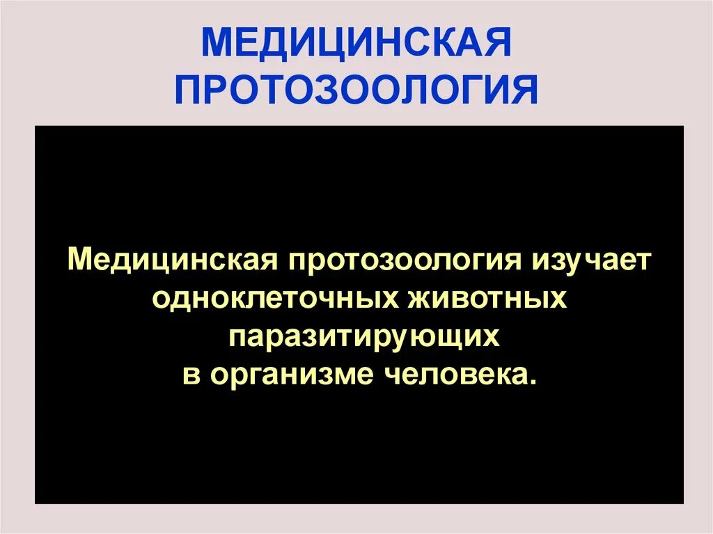 Протозоология изучает. Протозоология изучает. Протозоология изучает. Протозоология. Наука изучающая простейших.