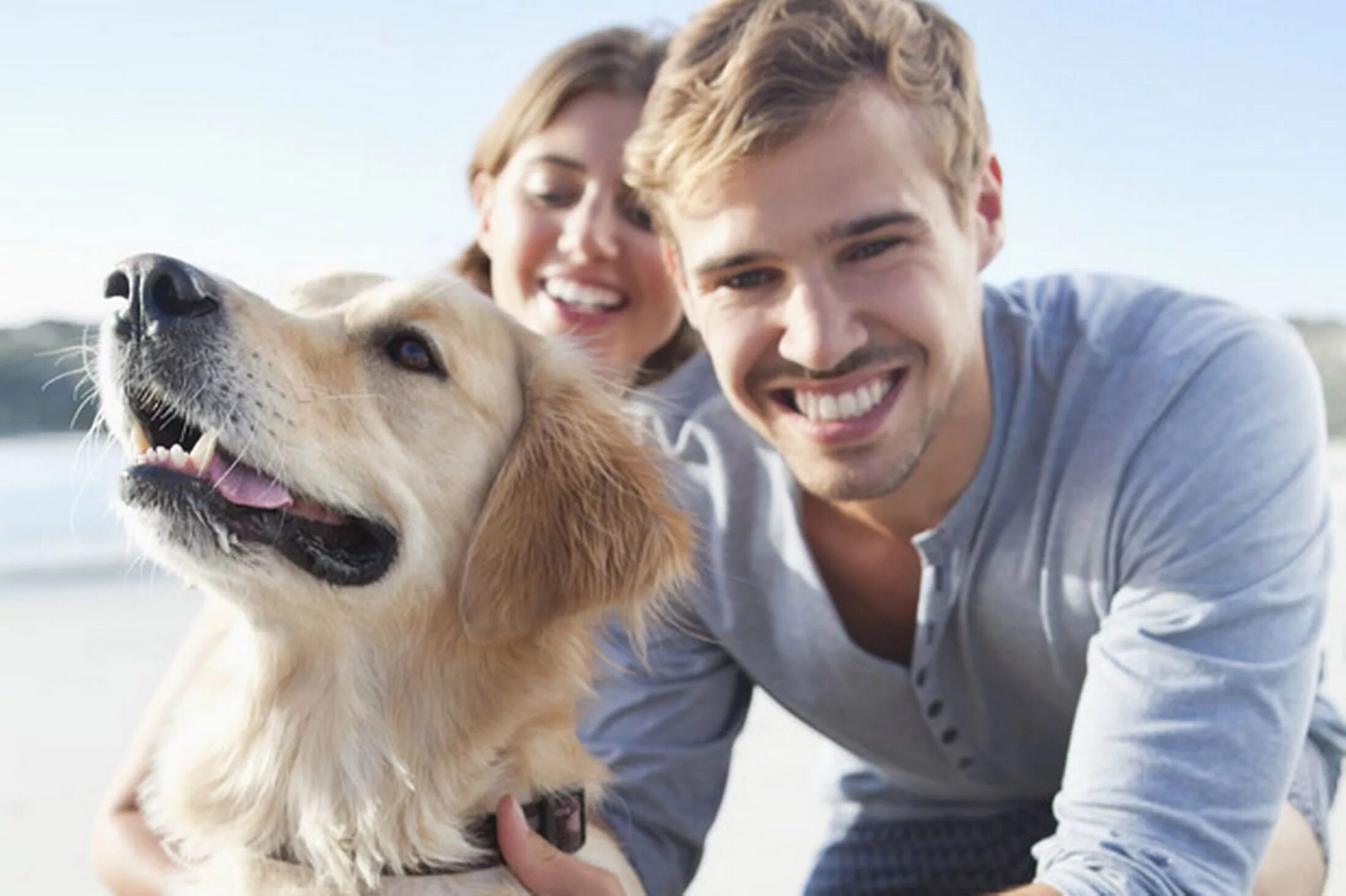 собака выбирает человека. собаки похожие на людей. приют для собак. собака выбирает человека. человек с собакой.