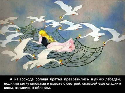 Дикие лебеди андерсен читательский дневник 4 класс