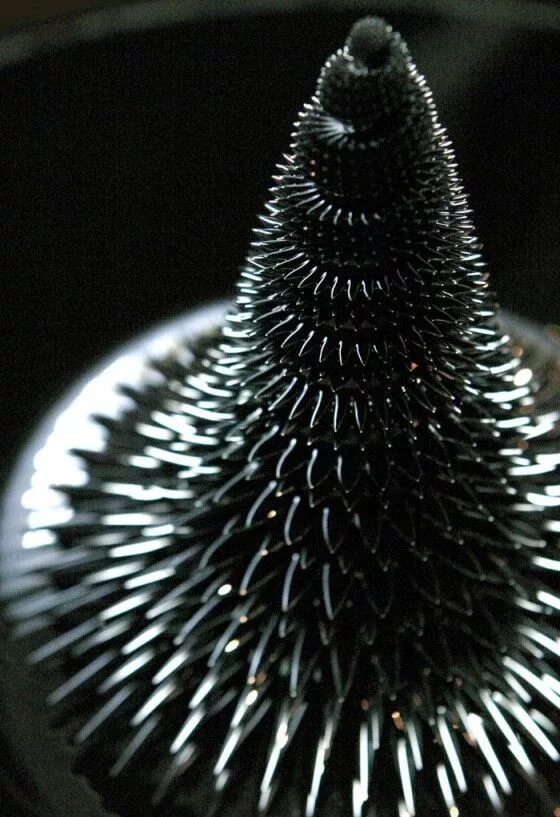 Магнитное чвойство веществ ферромагнитич. Ферромагнит. Феррофлюид. Ферромагнитная жидкость. Феррофлюидная магнитная жидкость дисплей.