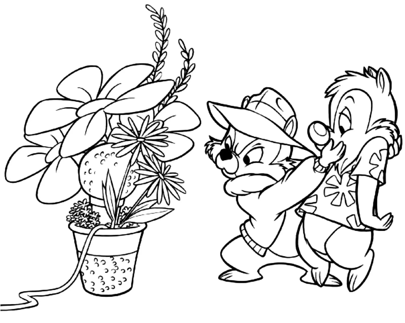 Раскраски из мультика чип и дейл. Раскраски чип и дейл. Раскраски чип и дейл. Рокки раскраска чип и дейл. Раскраски для девочек чип и дейл.