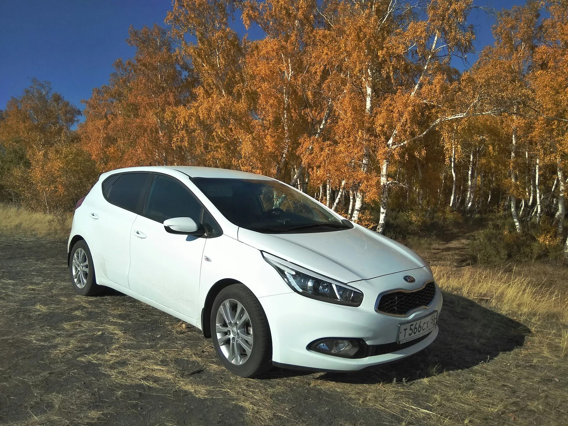 Сид отзывы владельцев. Kia Ceed 2. Kia Ceed 2g. Kia Ceed 2013. Кия СИД 2 2013.