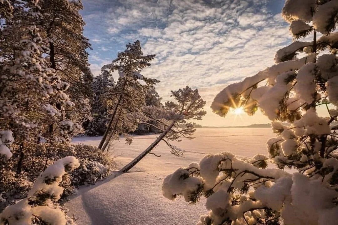 Снежное утро красивые. Снежное утро. Прекрасного зимнего дня. Морозное утро. Утро зимой.