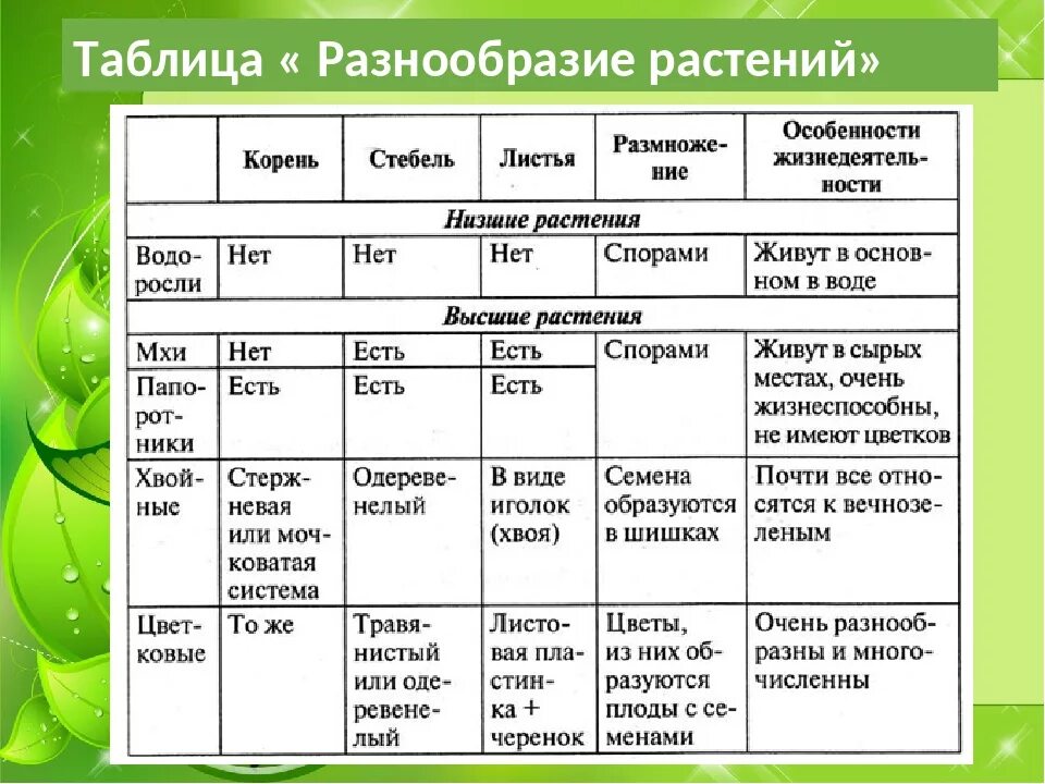 Таблица основные виды растений