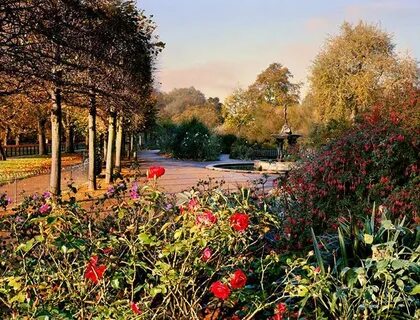Holland park фото