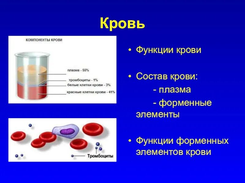 Состоит из плазмы и форменных элементов