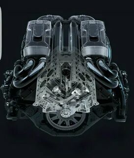 W 18