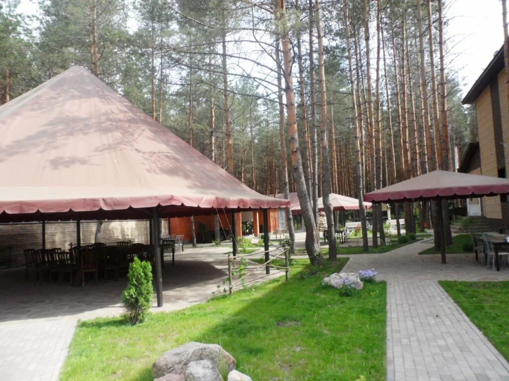 Кафе отель лесная сказка. Лесная сказка тамбов. Лесная сказка тамбов. Лесная сказка тамбов. Лесная сказка тамбов банкетный зал.