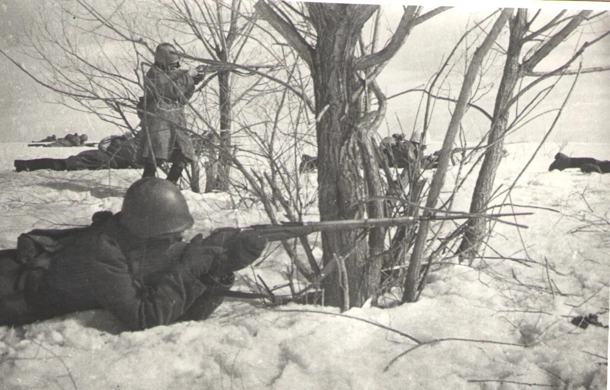 Битва под Наро-Фоминском 1941. Наро-Фоминская оборонительная операция 1941 года. Битва за Москву Наро-Фоминск. Битва за Москву Наро Фоминская операция. Освобождена битва за москву