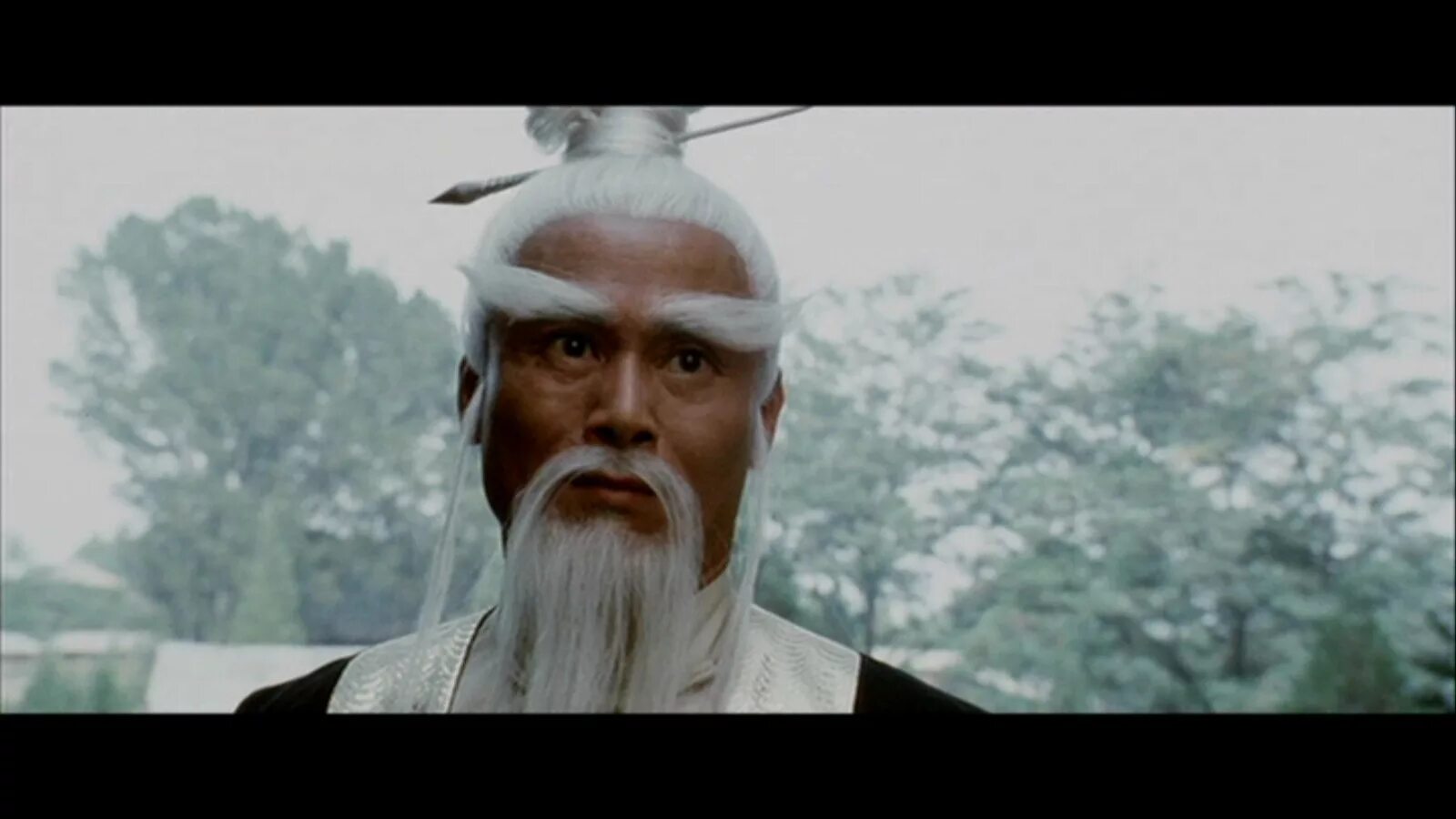 мастер пэй мэй. пай мэй монах. мастер пэй мэй актер. пэй мэй. мастер кунг фу убить билла.