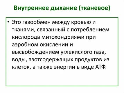 Кожа участвует в газообмене