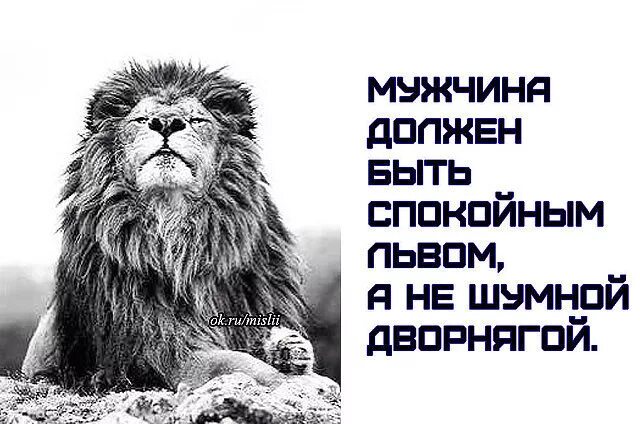 Нужно быть львом. Мужчина должен быть спокойным львом. Мужчин должен быть спокойным львом а не шумной. Быть спокойным. Мужчина должен быть как Лев.