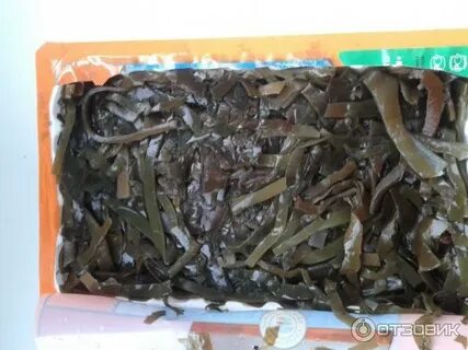 Морская капуста свежемороженая