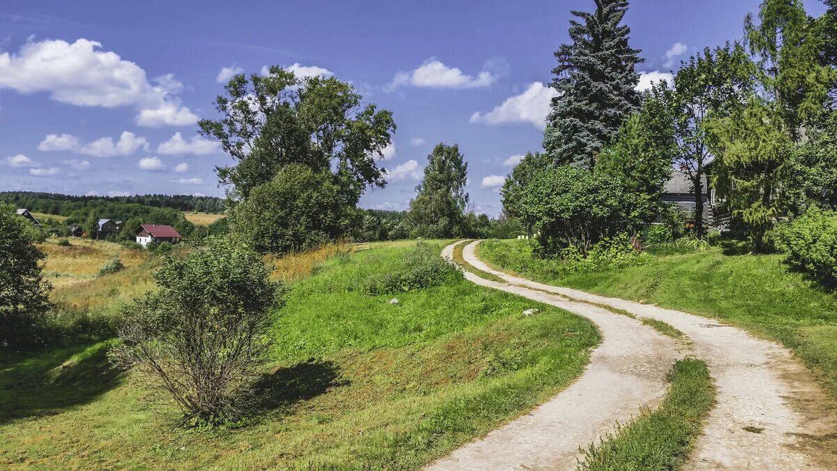 Вдали синела. Дорога в деревне. Сельская дорога. Тропинка в деревне. Сельские дороги.