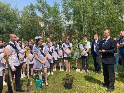 Аллея школы