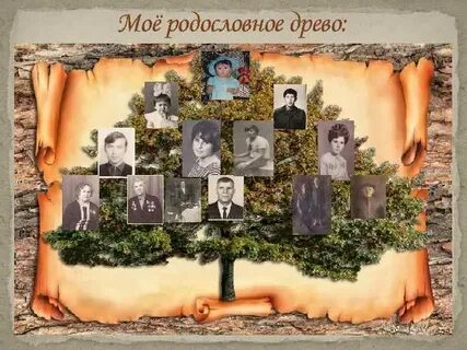 Генеалогический сайт