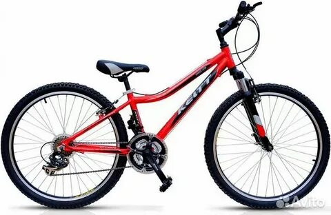 Pro xr