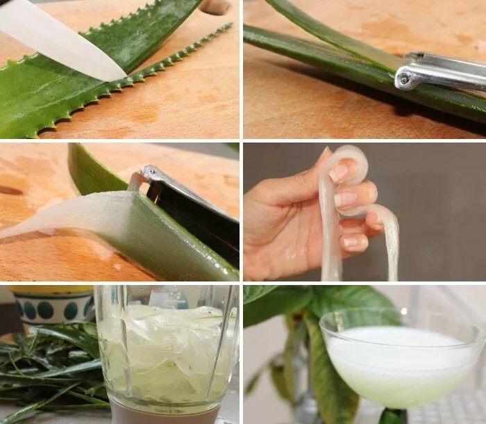 Aloe vera как пользоваться. Лист алоэ. Компресс из алоэ. Приготовление сока алоэ. Алоэ домашнее.