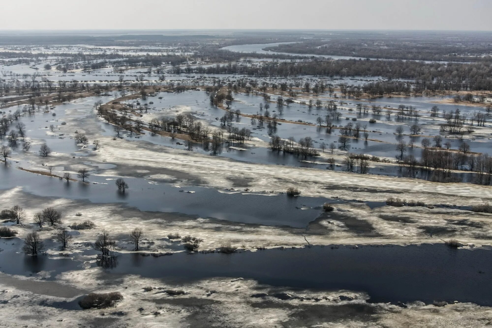 Припять паводок. Гомель река припять. река припять в чернобыле. разлив припяти. мозырь разлив реки.