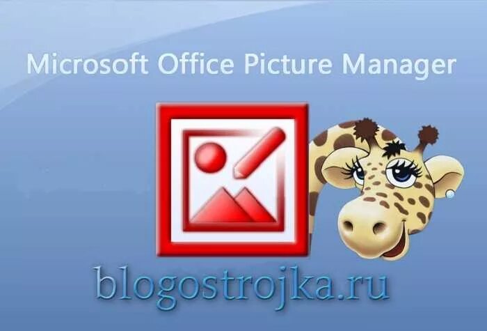 Microsoft Office picture Manager. Диспетчер рисунков Microsoft Office. Microsoft Office picture Manager 2010. Диспетчер рисунков Microsoft Office 2010. Майкрософт пикчер
