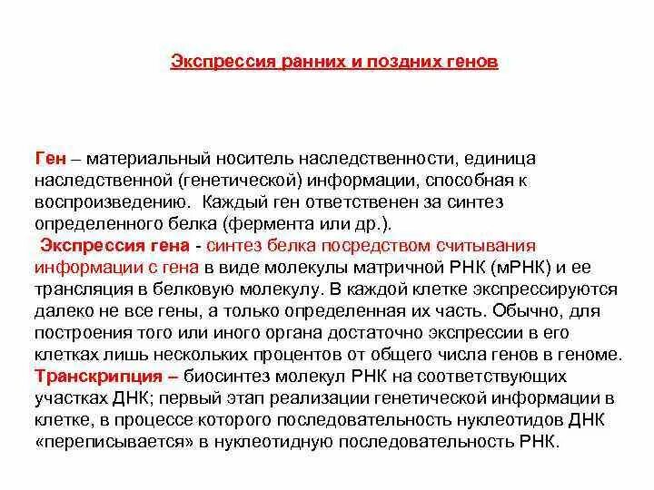 Ген- материальный носитель наследственной информации. Ген материальный носитель. Днк носитель наследственной информации. Днк гены геном. Ген материальный носитель.