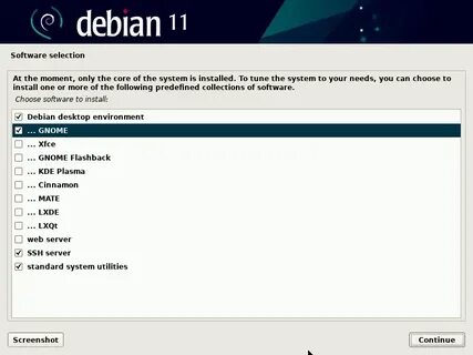 Debian 11 install