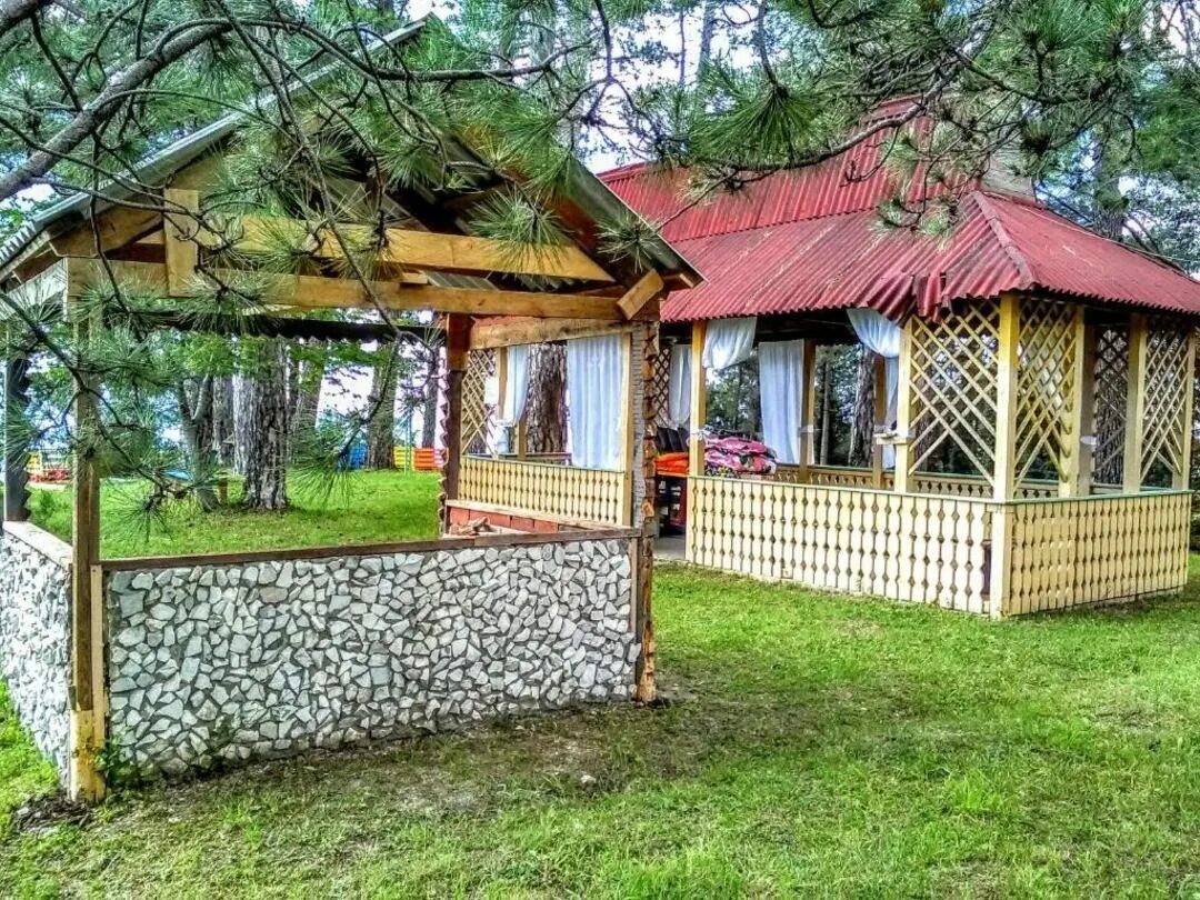Место для пикника в лесу. Сочи база лунная поляна. База отдыха поляна усть шалашная. База отдыха поляна усть шалашная. Турбаза полянка саратовская область.