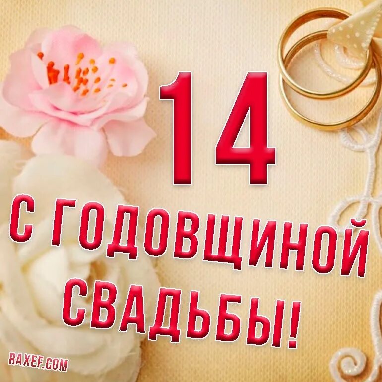 Что дарить на 14 лет свадьбы? Что дарят на агатовую годовщину совместной жизни м