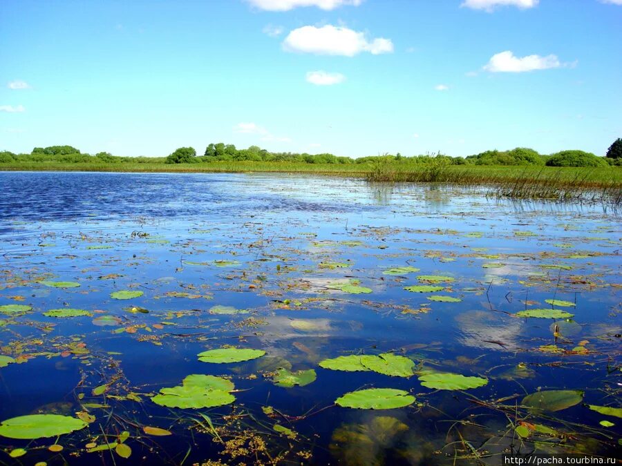 How three biosphere reserves came together to effectively solve the problems of 