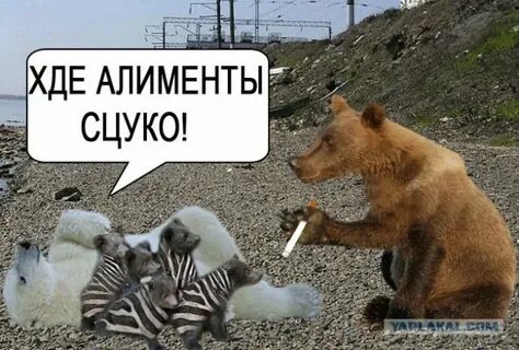 Маша не выйдет