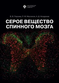 В сером веществе спинного мозга расположены тела