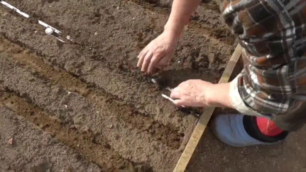 Как сделать грядку под морковь. Приспособления для посадки моркови без прореживания. лайфхак посадки моркови. шаблон для посадки моркови. грядка под морковь.