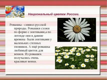 Проект растения символы разных стран 5 класс