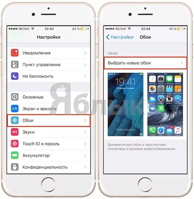 Как изменить экран на айфоне 15. Как поменять заставку на айфоне. поменять картинку на айфоне. поменять заставку на айфон. как изменить картинку на айфоне.